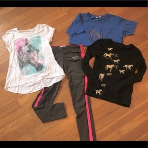Horse Riding Bundle